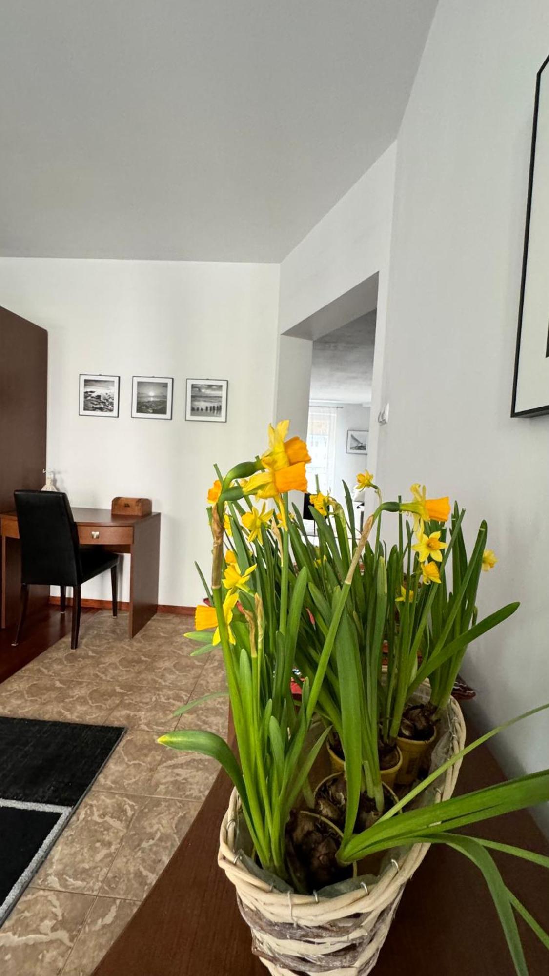 Apartament Rodzinny Kołobrzeg Eksteriør billede