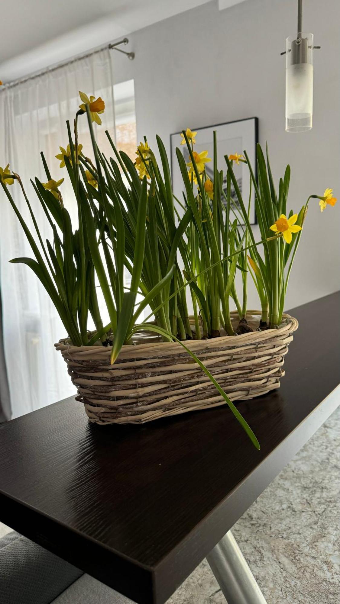 Apartament Rodzinny Kołobrzeg Eksteriør billede